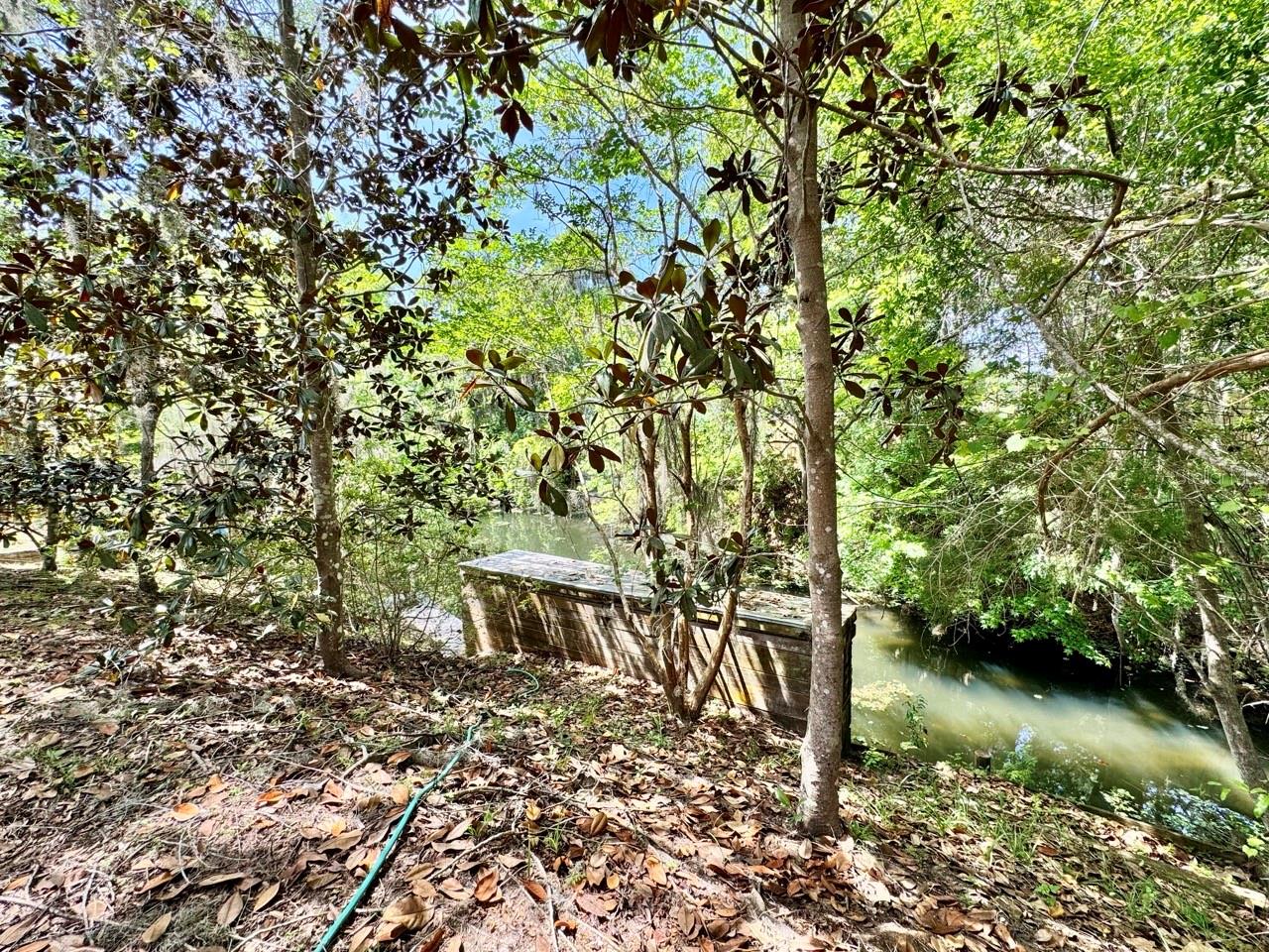 30391 97th, Salt Springs, FL 32134