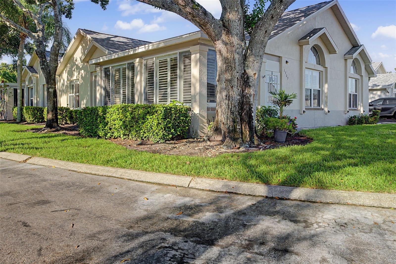 3709 Mollie, Sun City Center, FL 33573