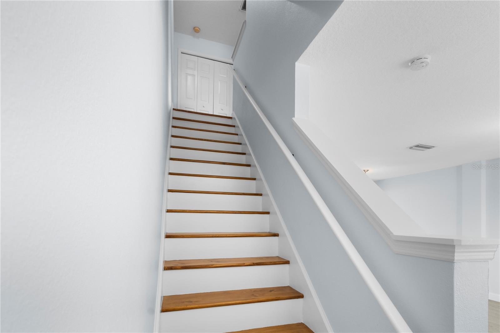 12294 Country White, Tampa, FL 33635