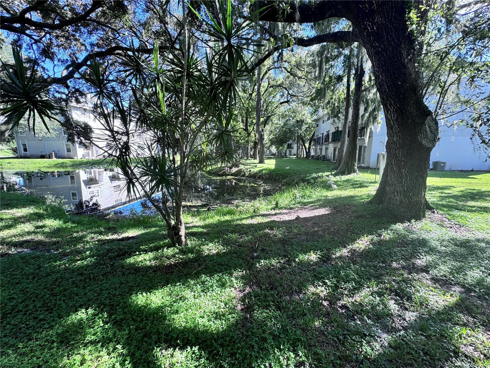 7177 Bank Unit 102, Tampa, FL 33617