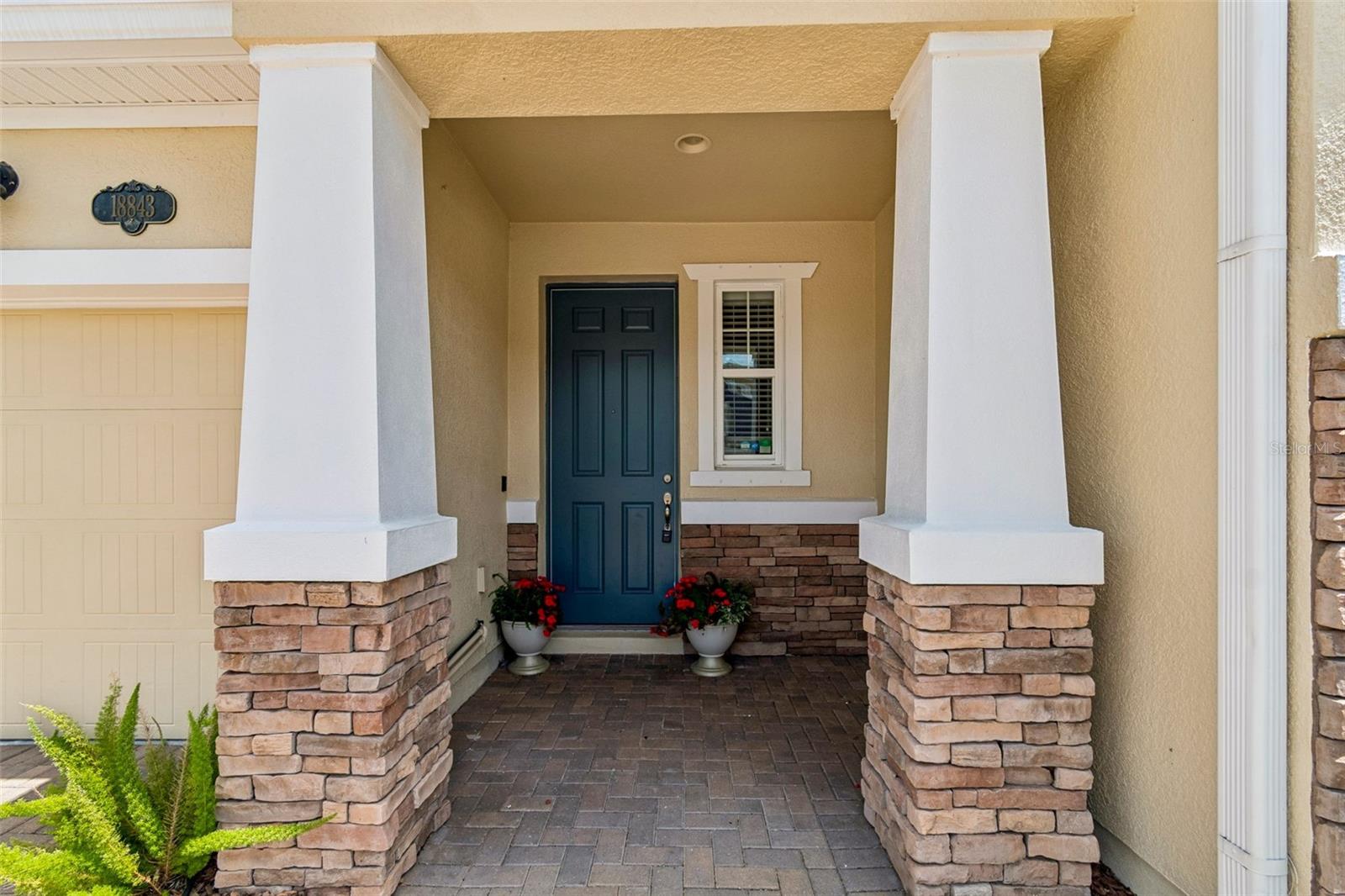 18843 Ulmus, Lutz, FL 33558