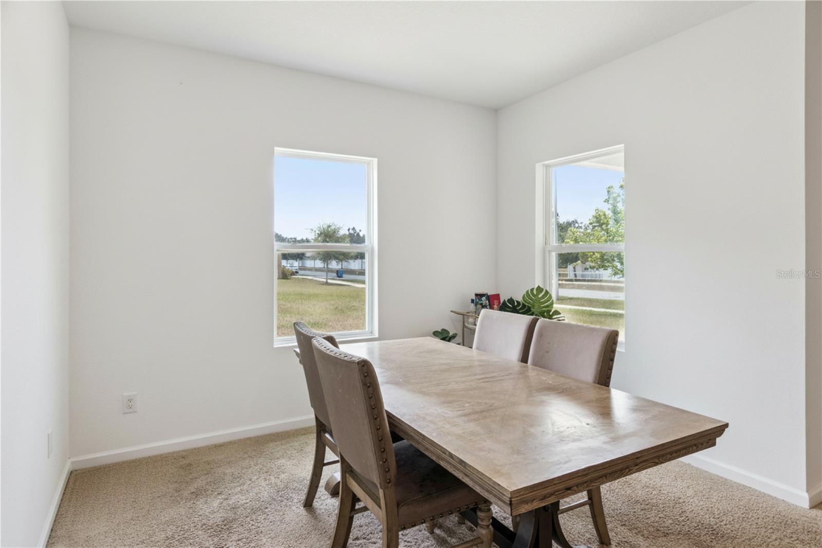 903 Shimmering Oaks, Seffner, FL 33584
