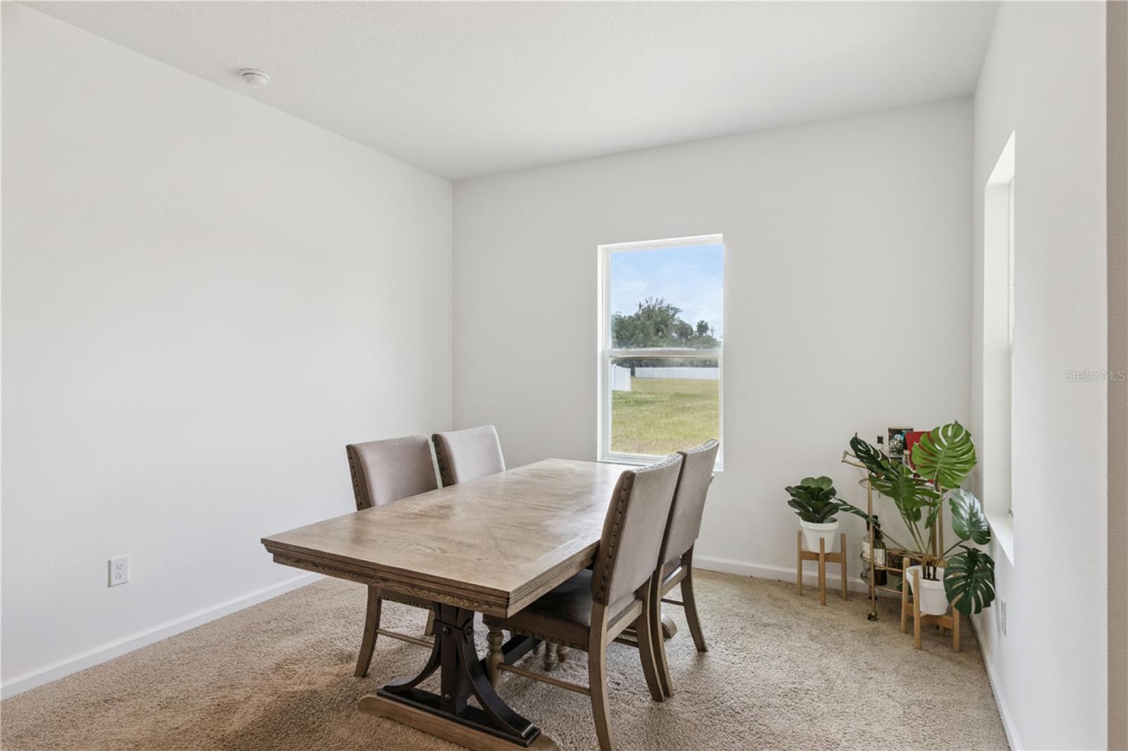 903 Shimmering Oaks, Seffner, FL 33584