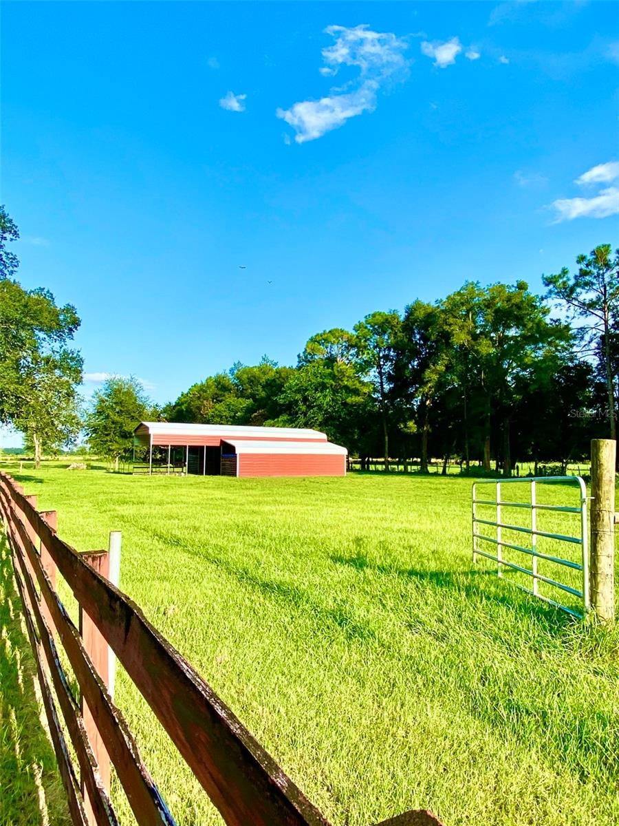 10 50th, Bell, FL 32619