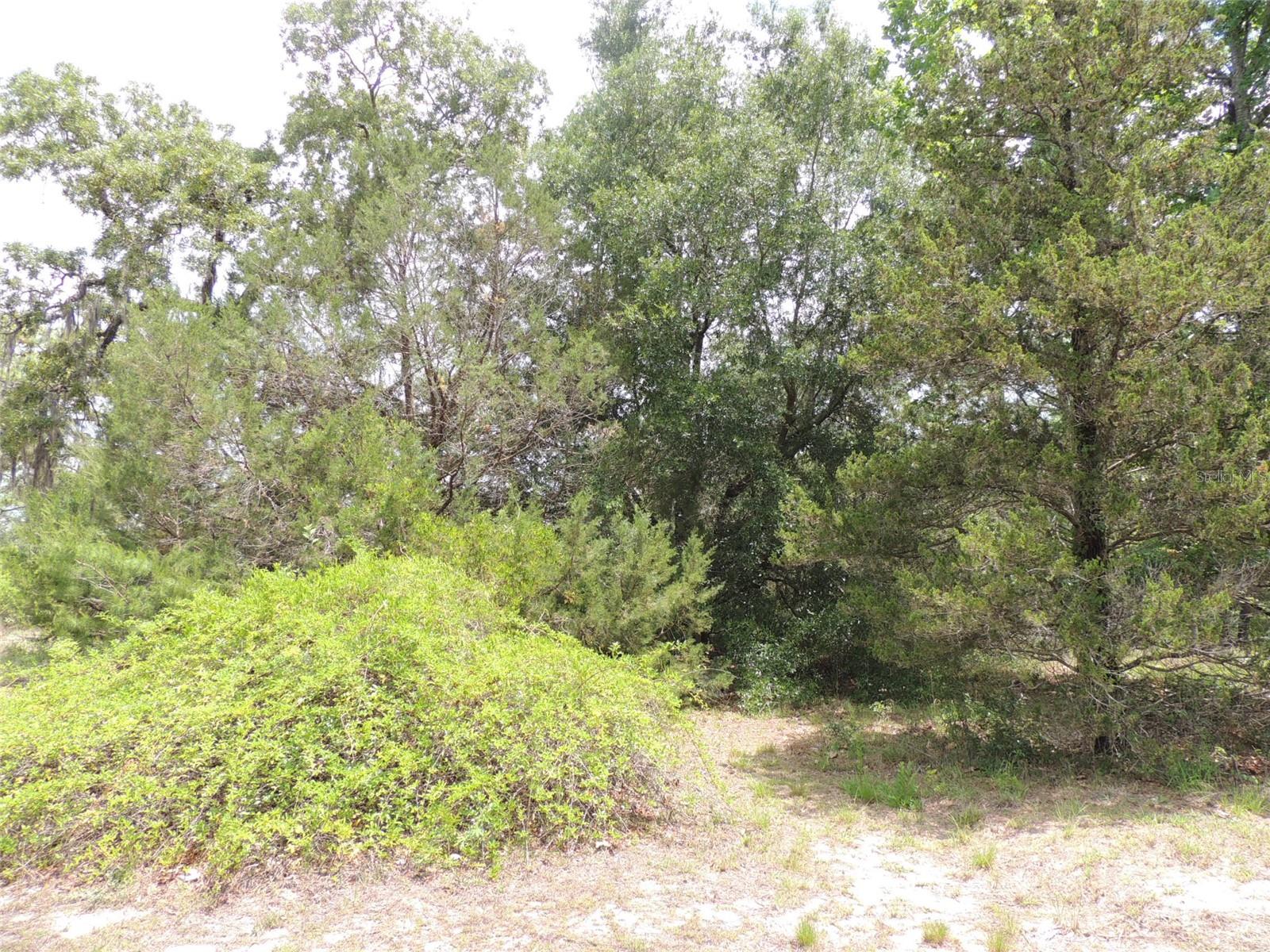 11351 32nd, Morriston, FL 32668