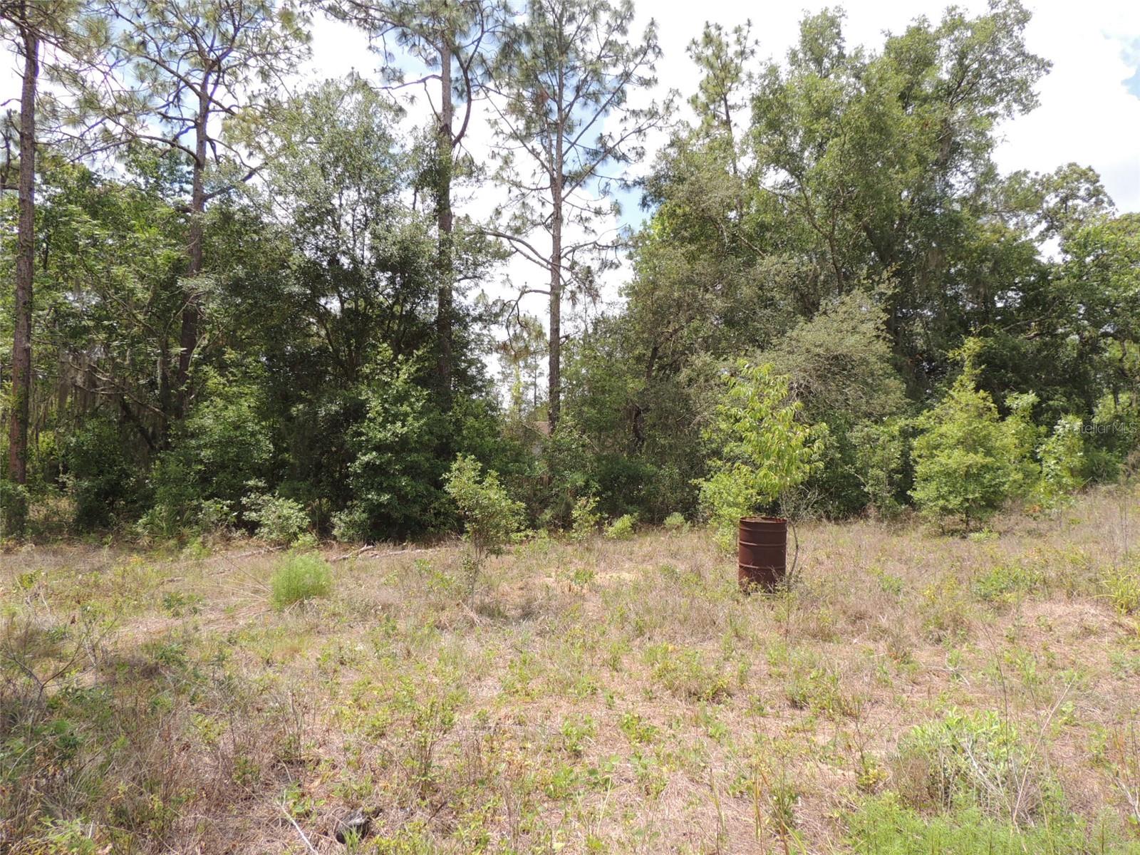 11351 32nd, Morriston, FL 32668