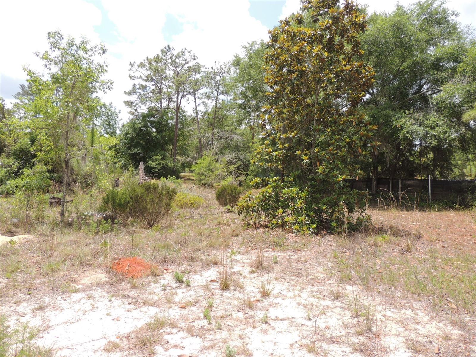 11351 32nd, Morriston, FL 32668
