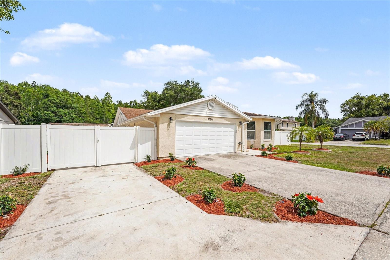 12601 Wood Ibis, Tampa, FL 33624