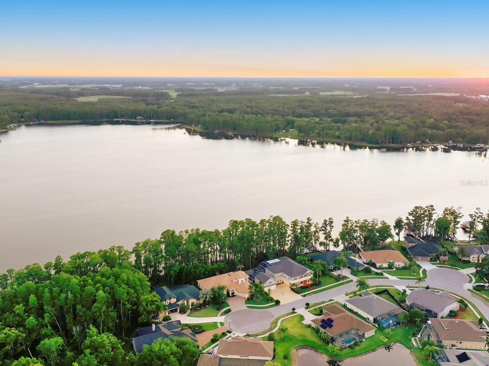 21019 Marsh Hawk, Land O Lakes, FL 34638