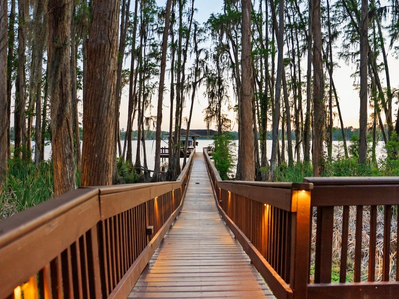 21019 Marsh Hawk, Land O Lakes, FL 34638
