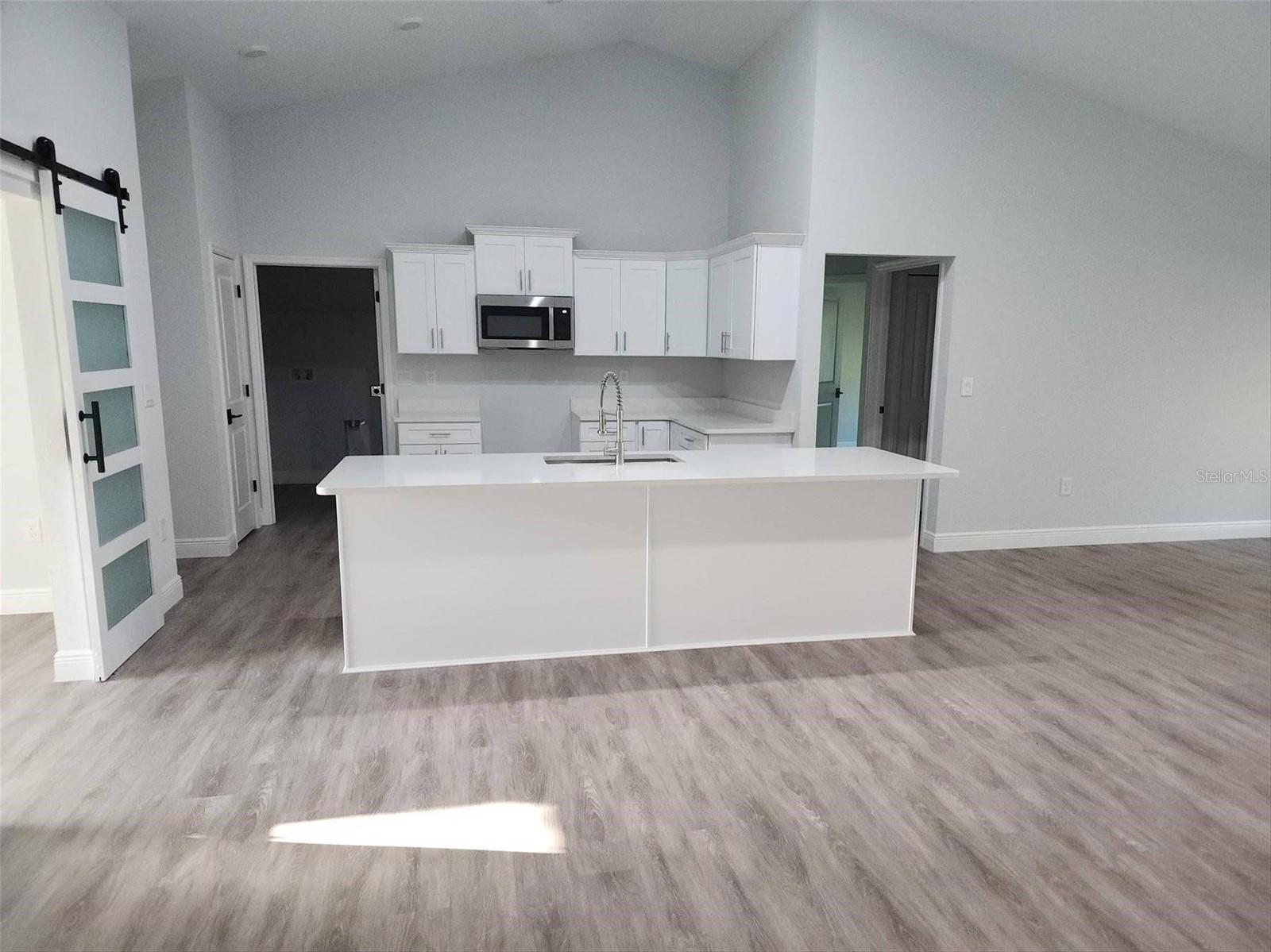 1111 Dagmar, Spring Hill, FL 34606