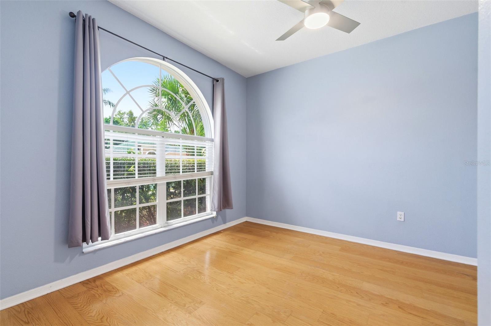 1623 Crossvine, Trinity, FL 34655