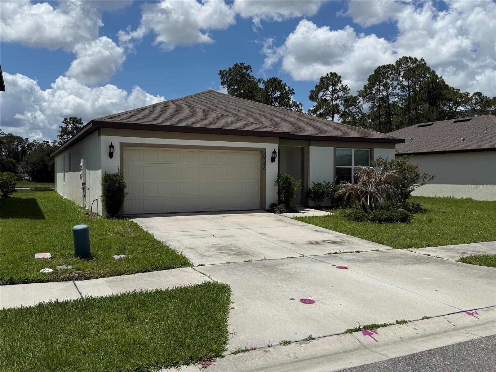 30596 Thunderbird, Wesley Chapel, FL 33545