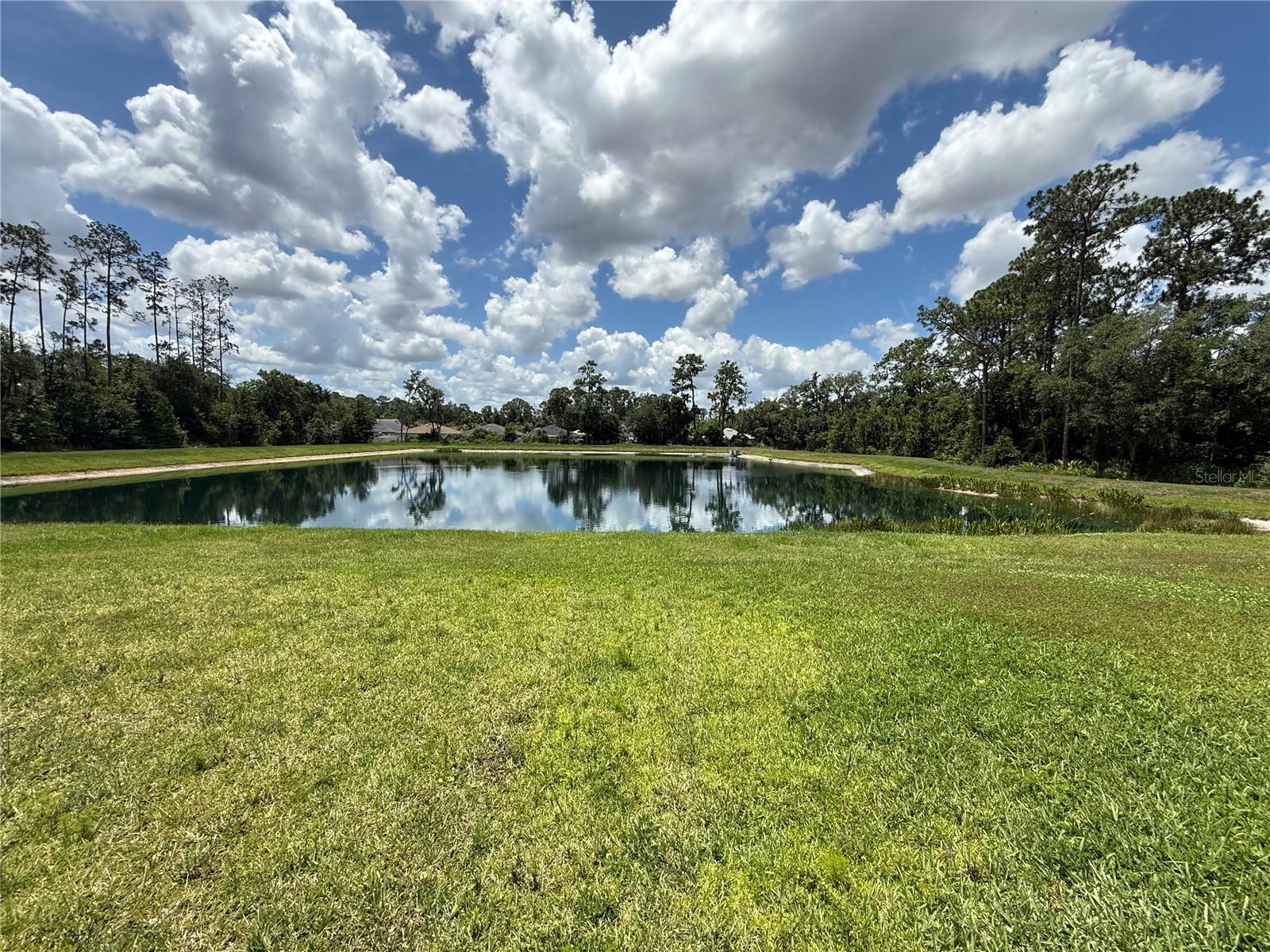 30596 Thunderbird, Wesley Chapel, FL 33545