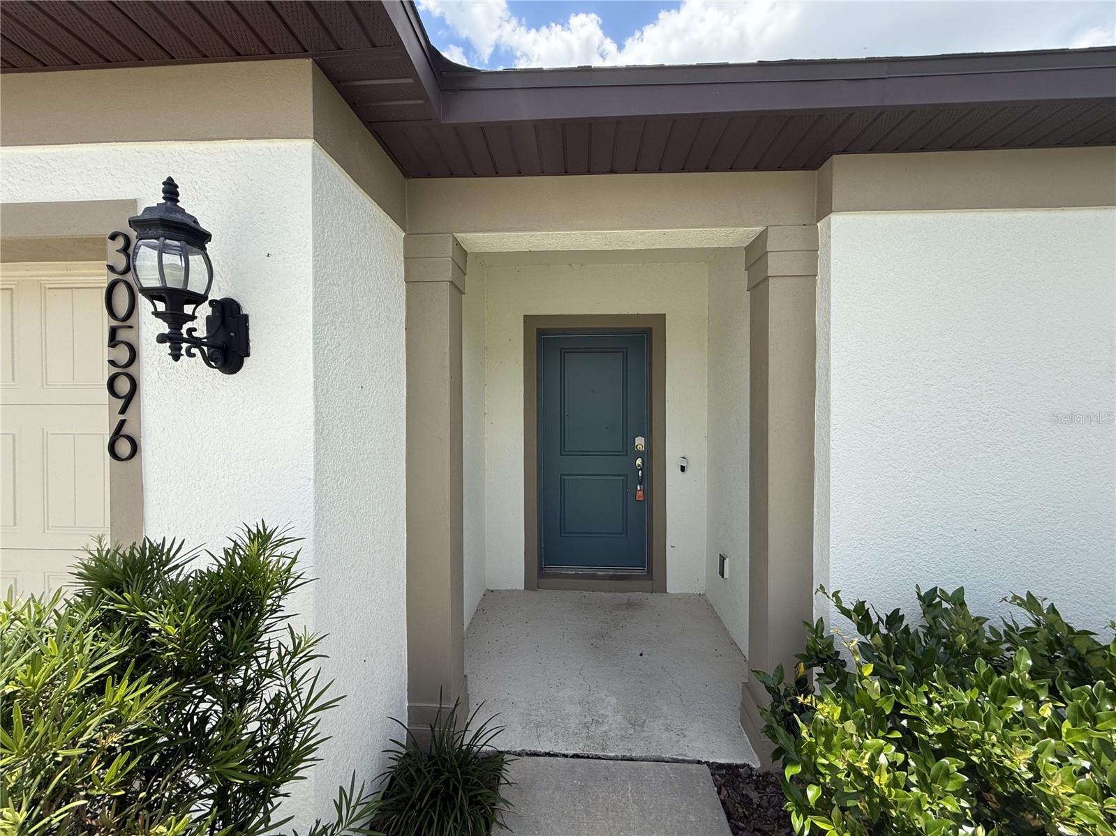 30596 Thunderbird, Wesley Chapel, FL 33545