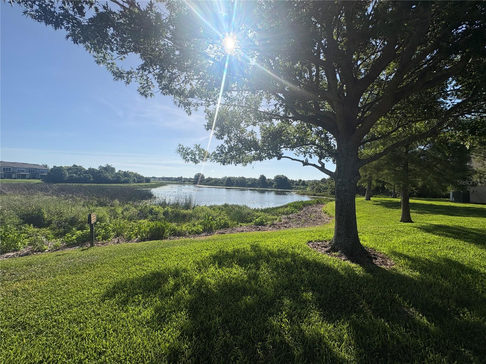 4605 Barnstead, Riverview, FL 33578