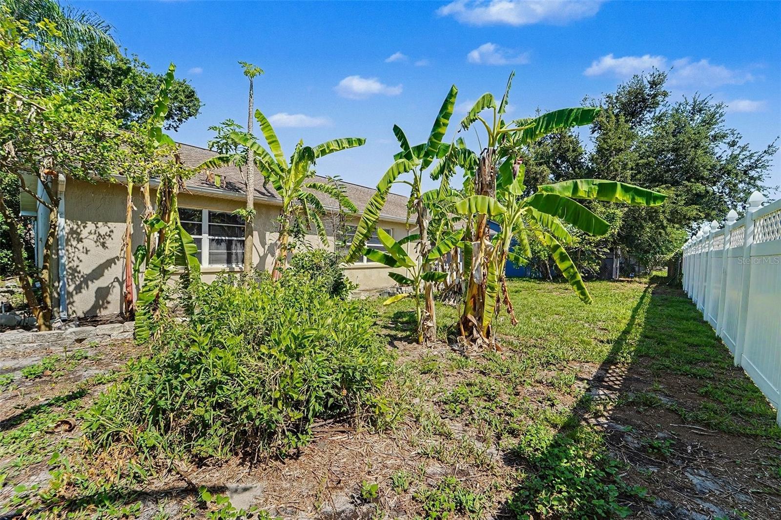 7336 Ashmore, New Port Richey, FL 34653