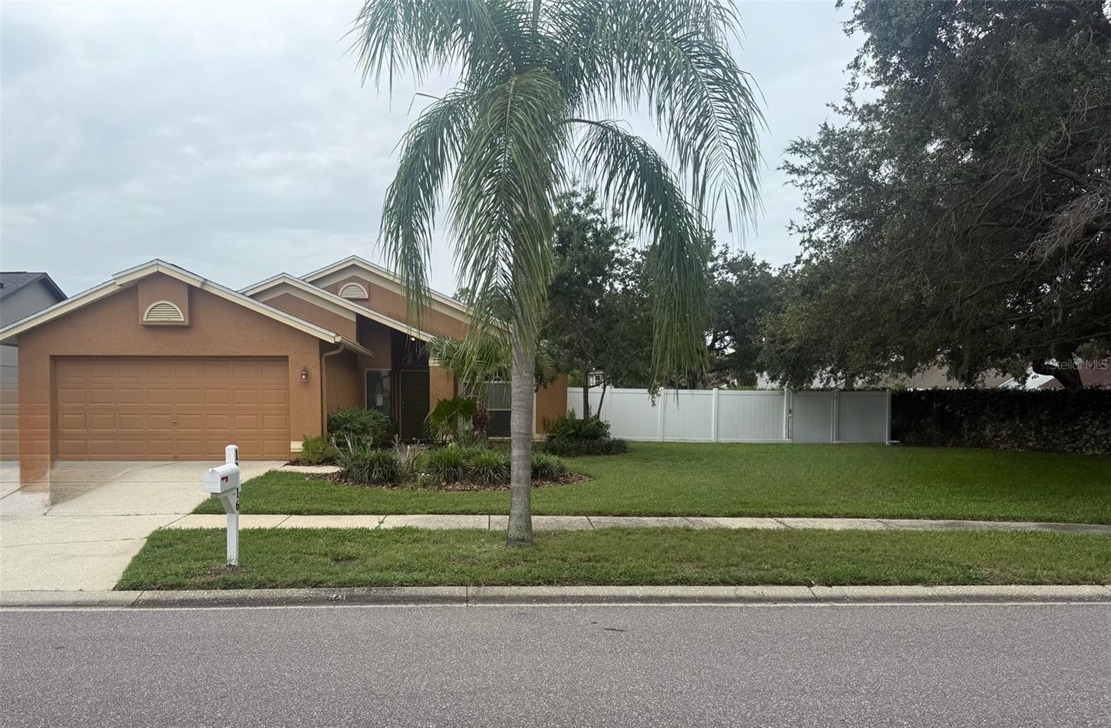 11516 Whispering Hollow, Tampa, FL 33635
