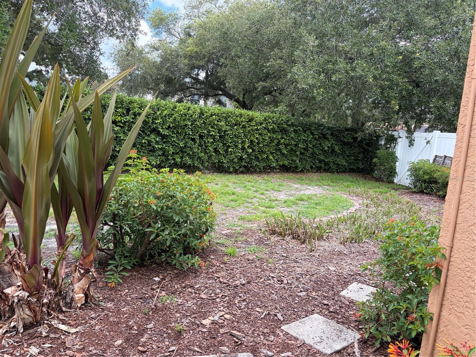 11516 Whispering Hollow, Tampa, FL 33635