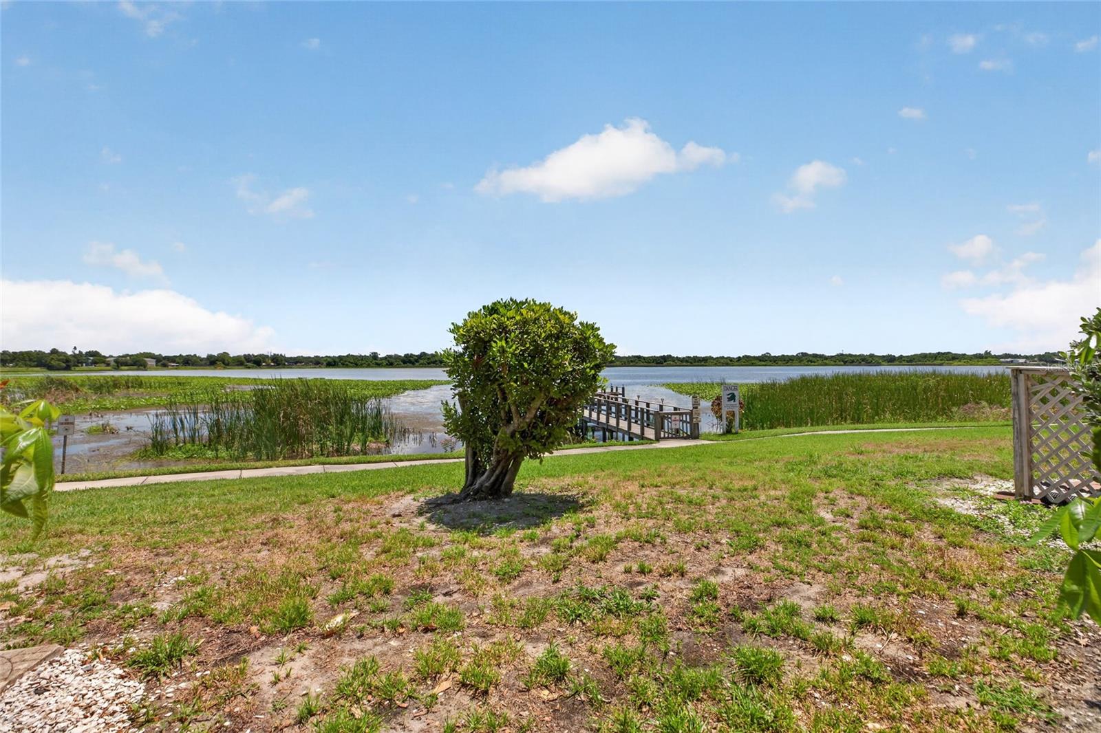 10125 Sailwinds Unit 104, Largo, FL 33773