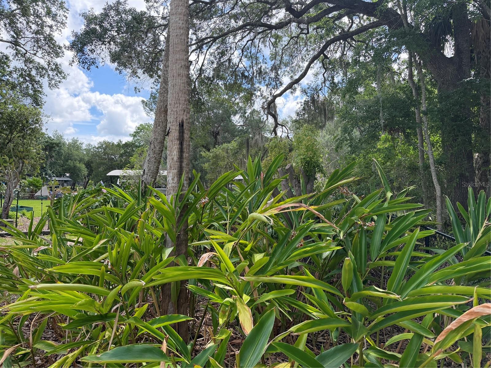 11878 Riverhaven, Homosassa, FL 34448