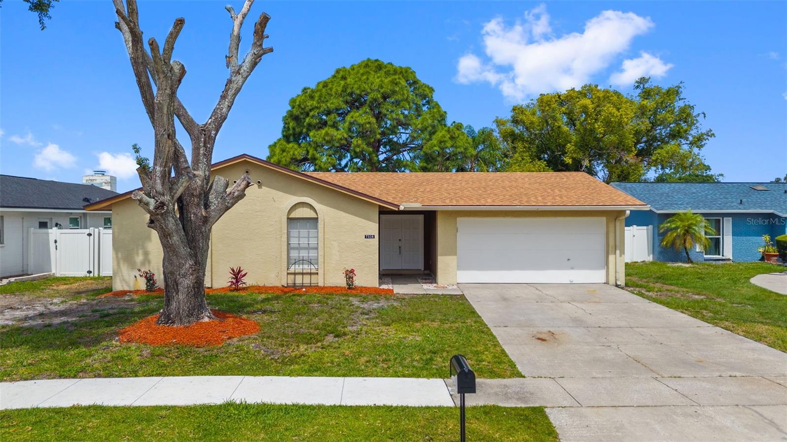 7516 Armand, Tampa, FL 33634