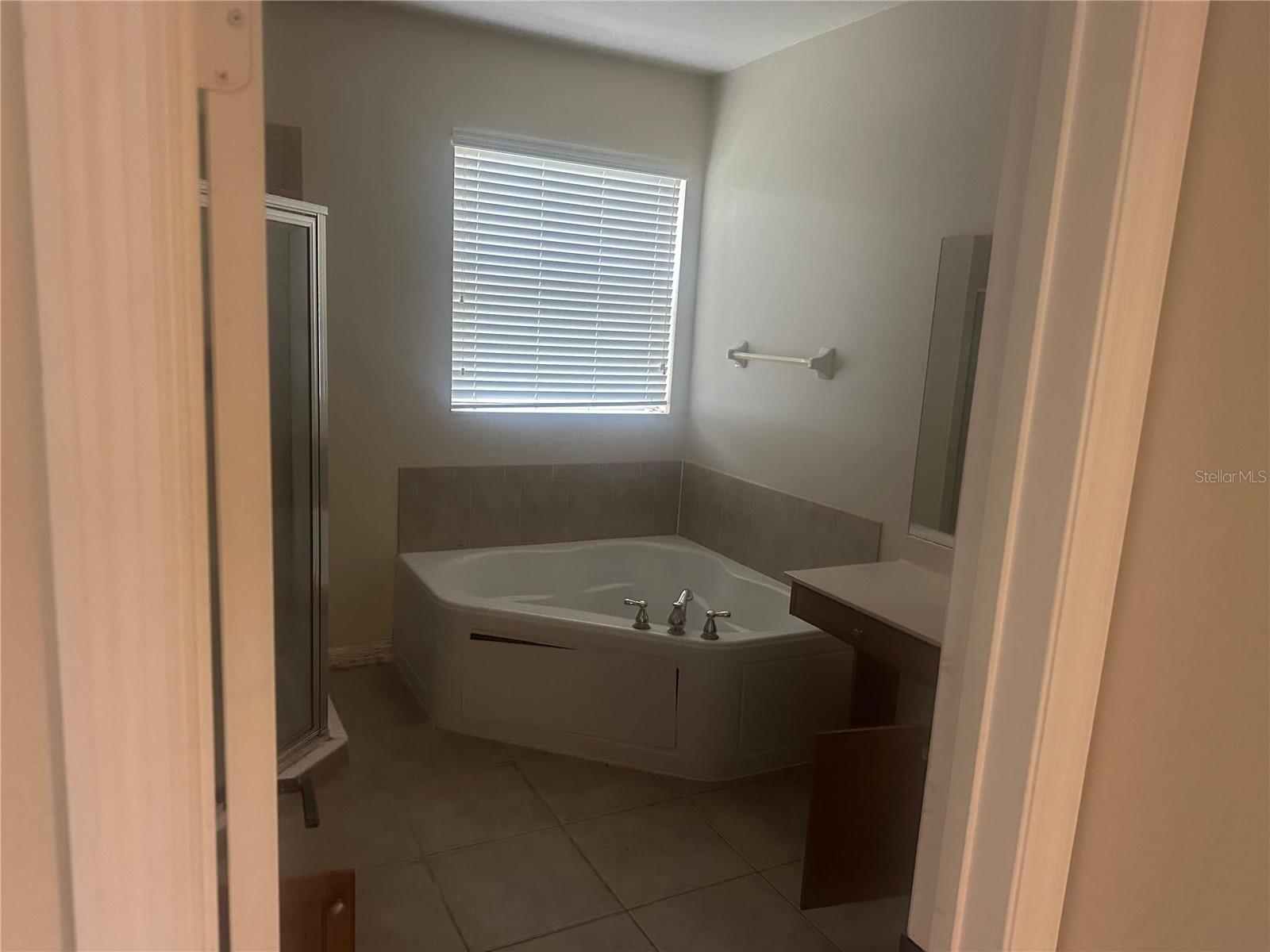 2981 Marshfield Preserve, Kissimmee, FL 34746