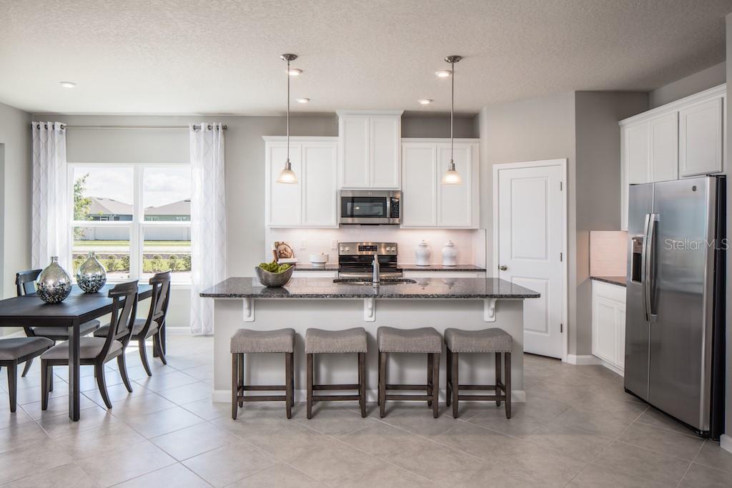 1100 Ocean Lodge, Lady Lake, FL 32159