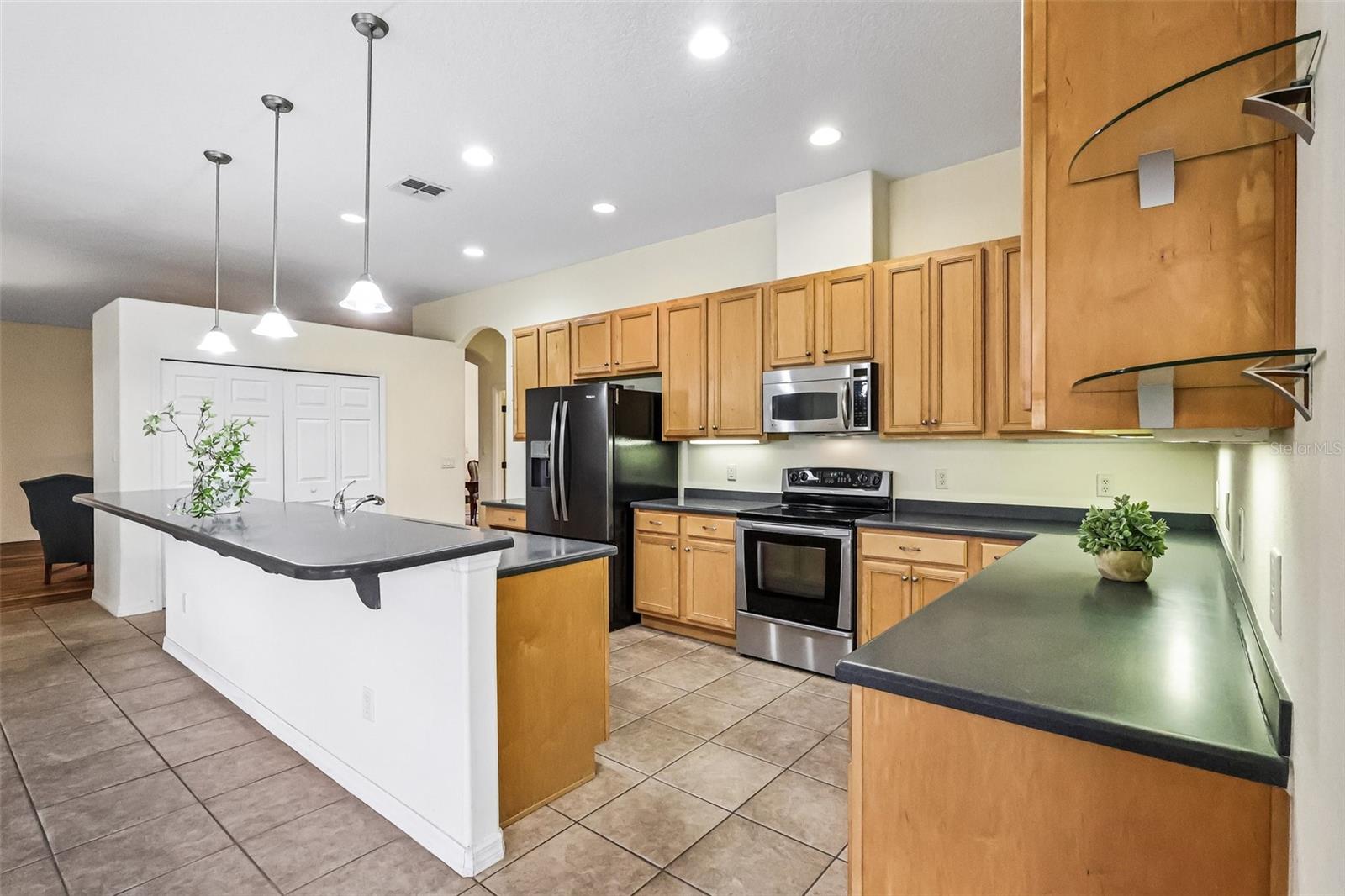 3538 Mulberry Grove, Leesburg, FL 34748