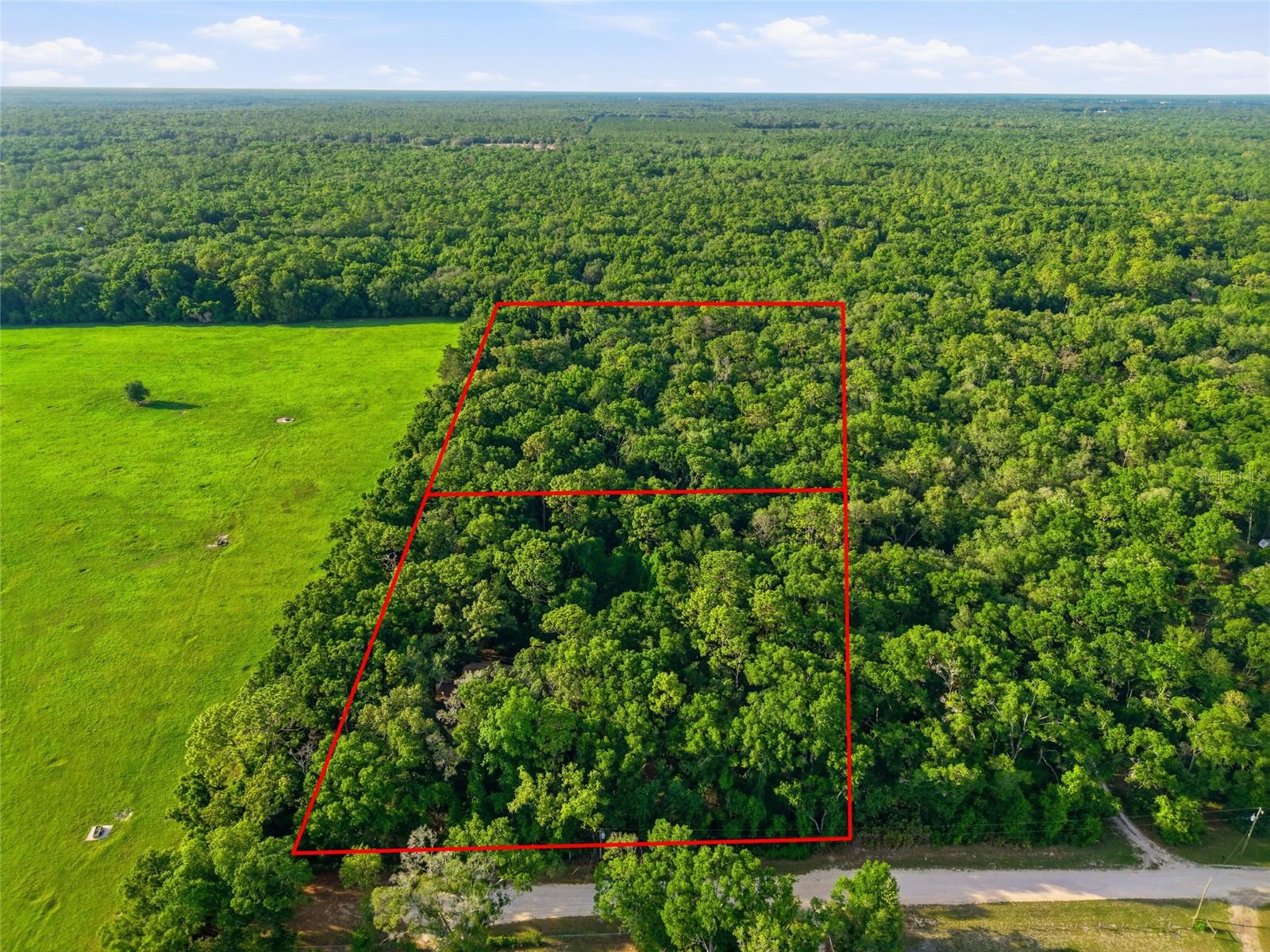 9291 127th, Chiefland, FL 32626