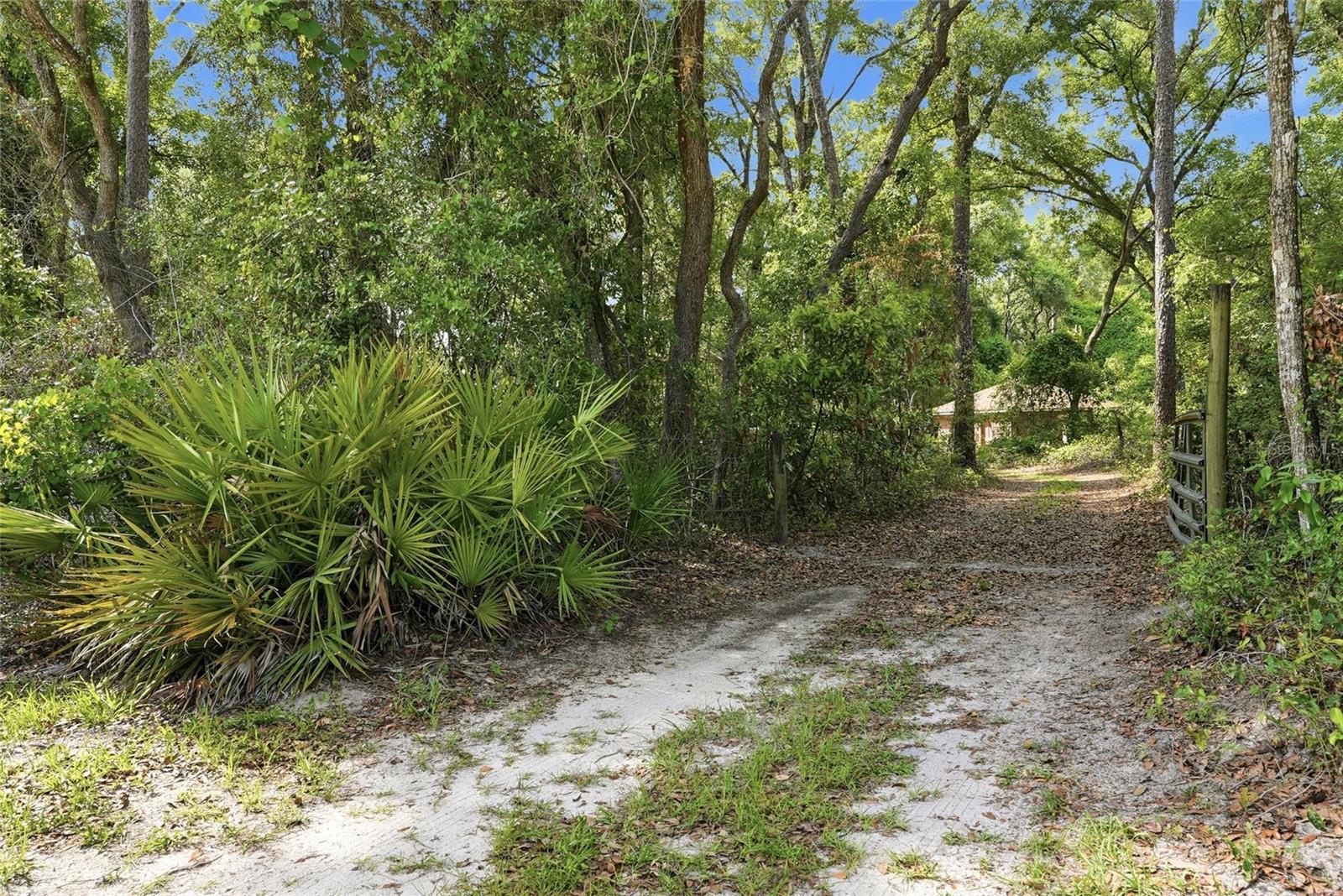 9291 127th, Chiefland, FL 32626