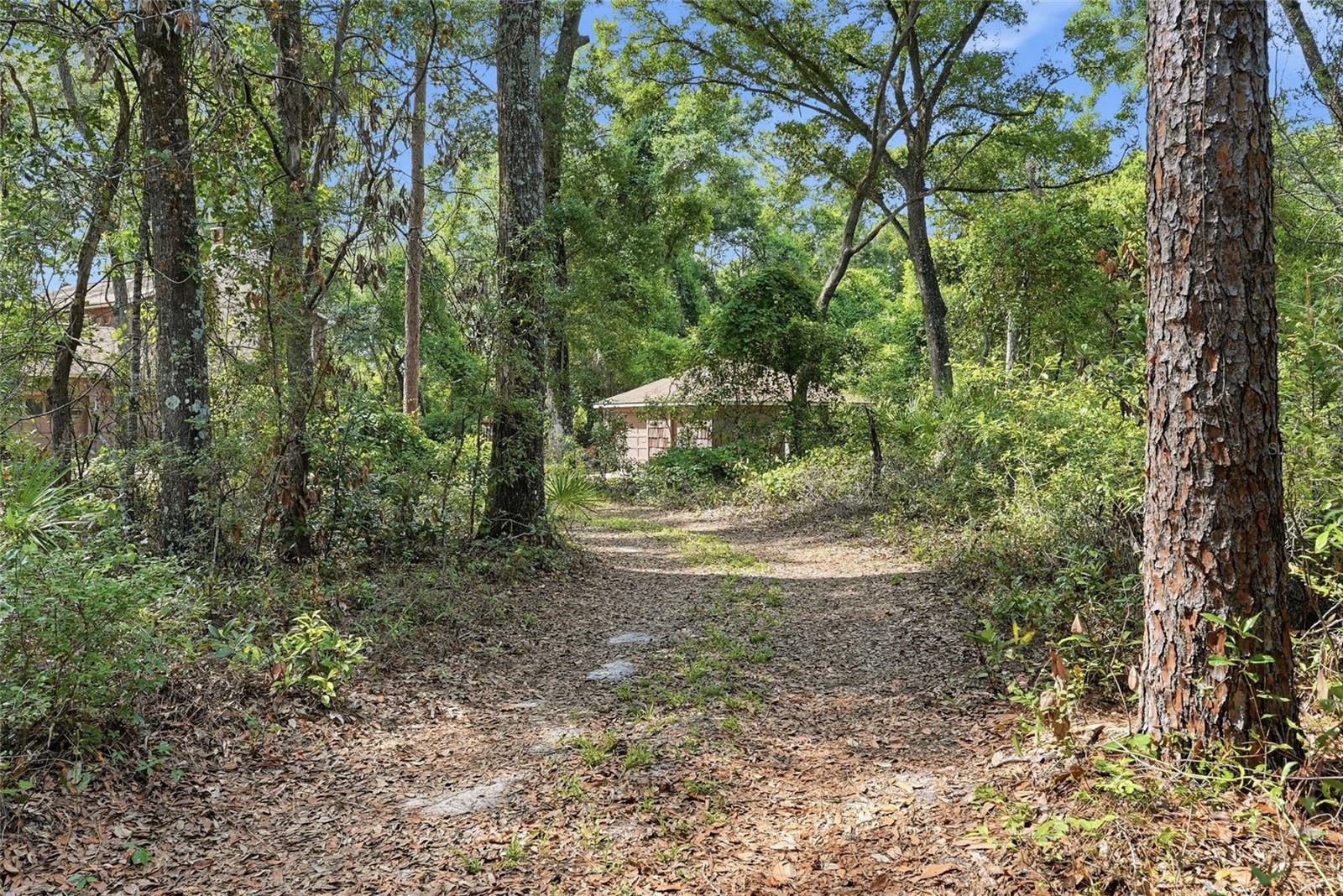 9291 127th, Chiefland, FL 32626