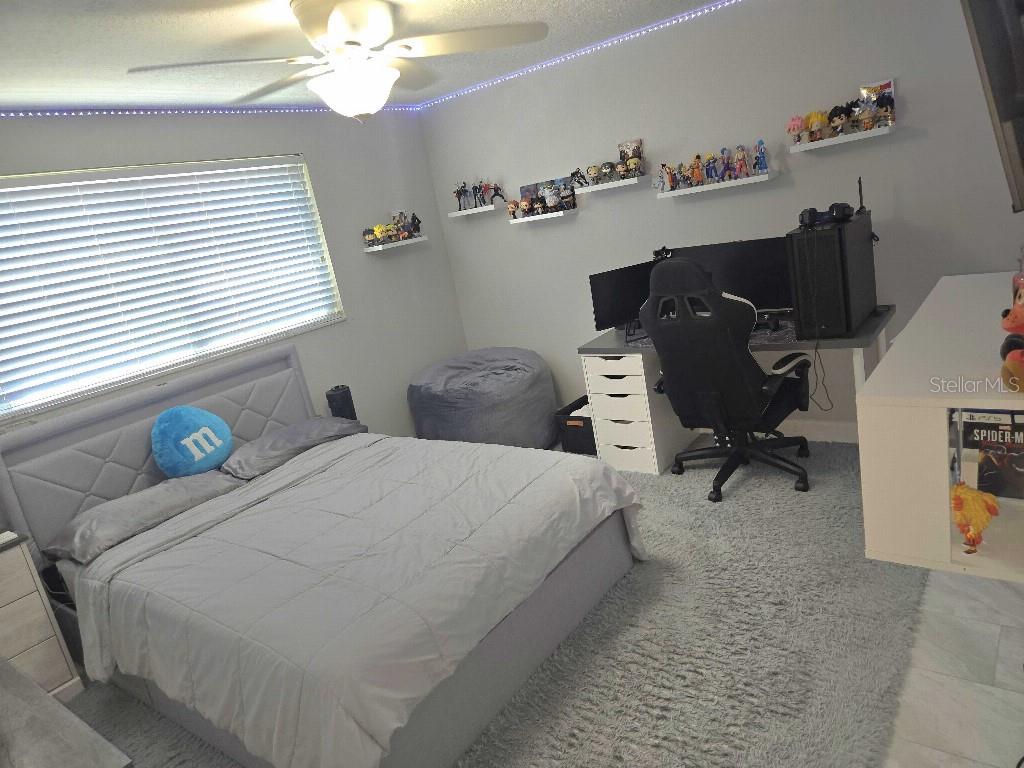 7002 Danewood, Tampa, FL 33615