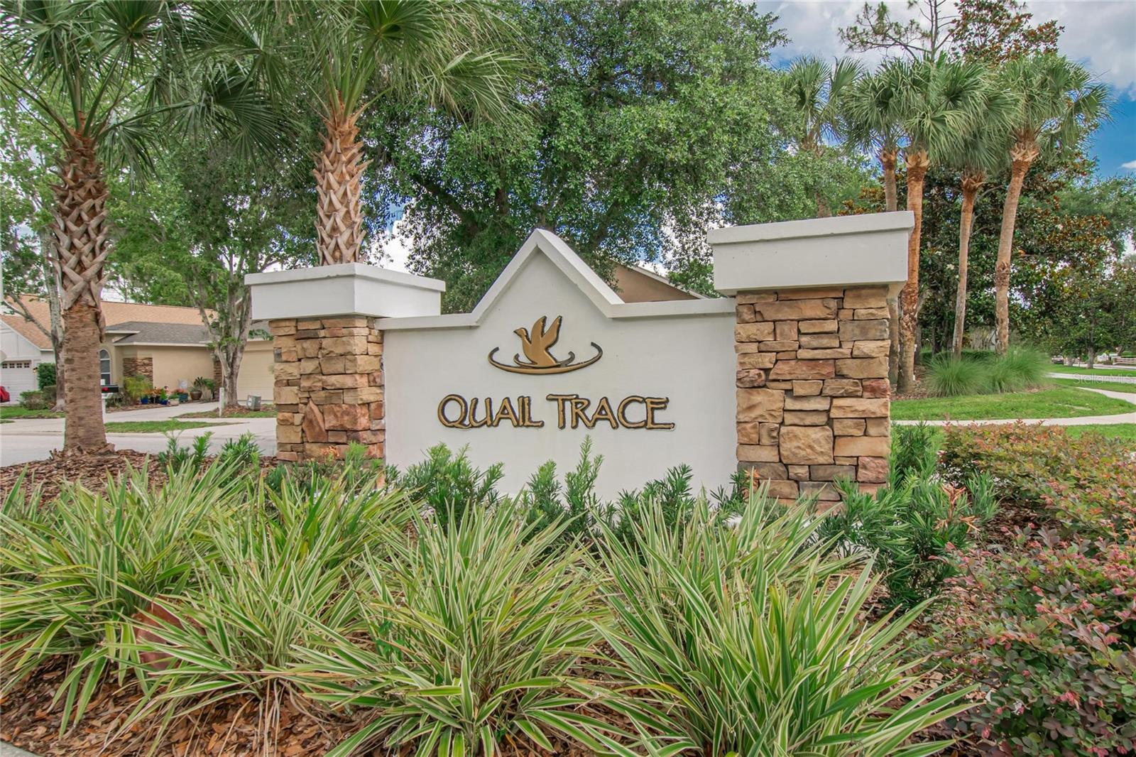 21040 Green Wing, Land O Lakes, FL 34637