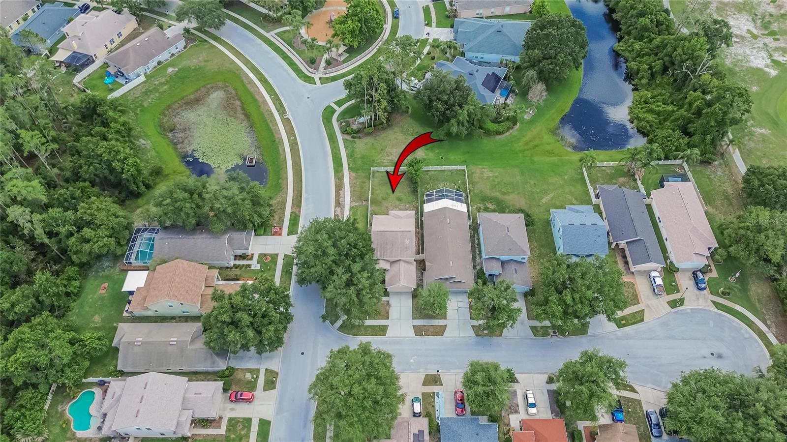 21040 Green Wing, Land O Lakes, FL 34637