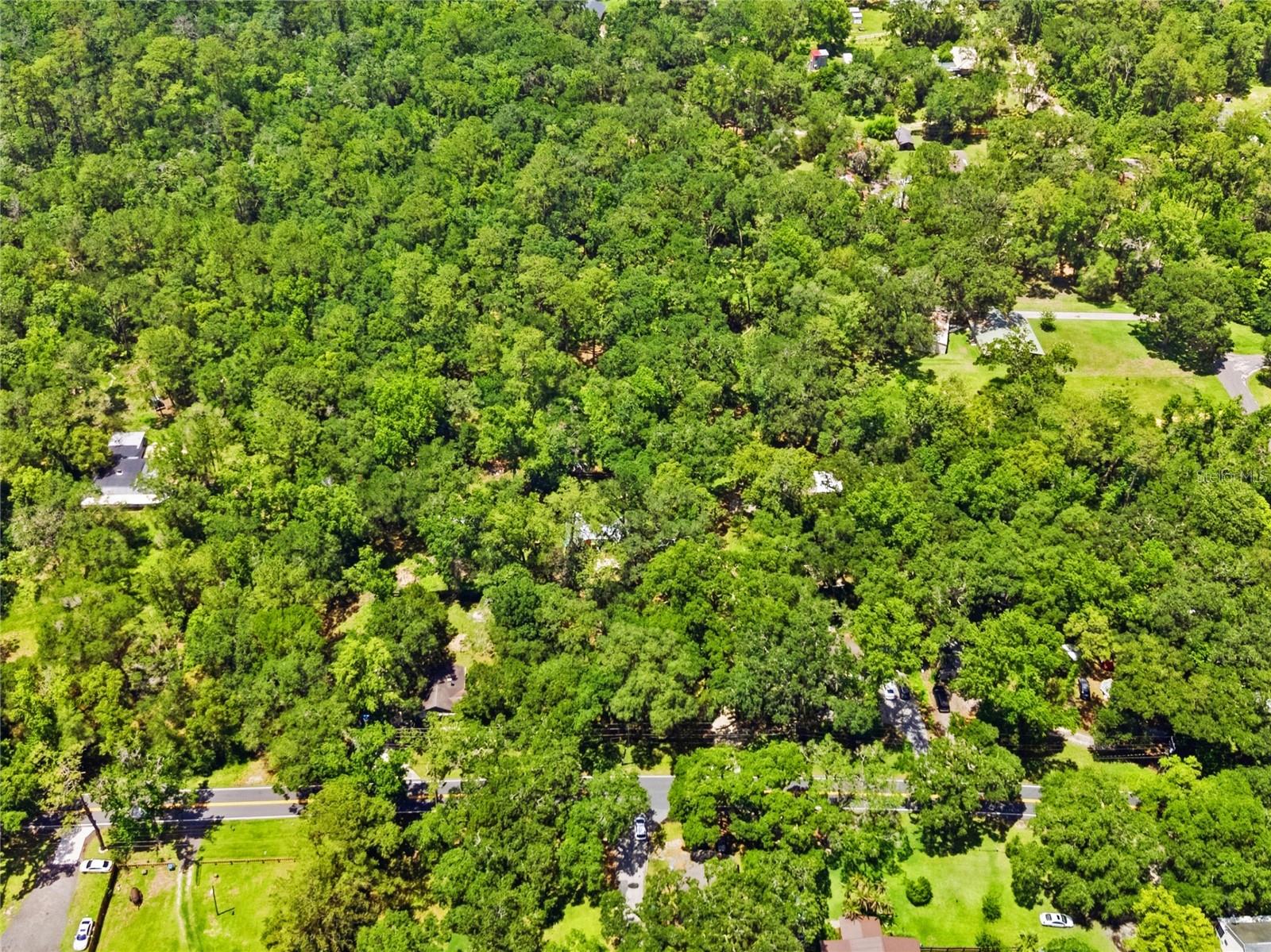 19199 Fort Dade, Brooksville, FL 34601