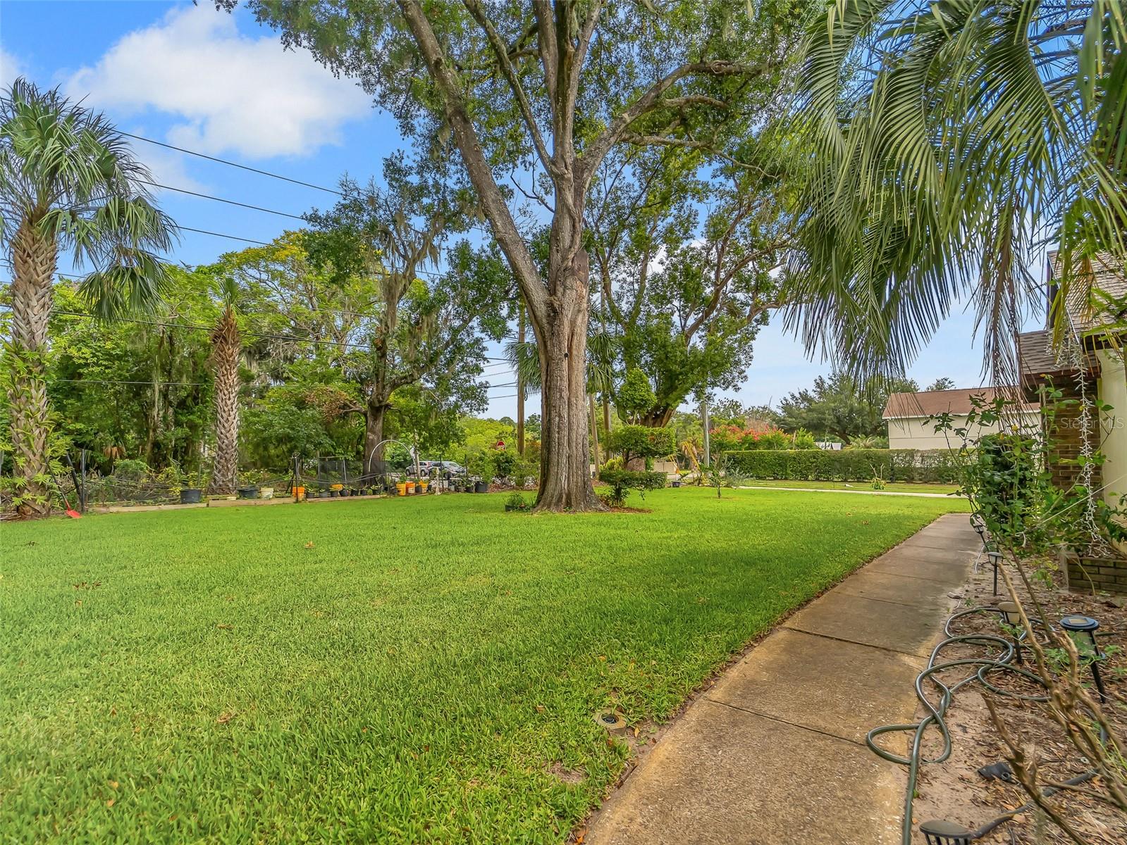 1407 Hempel, Windermere, FL 34786