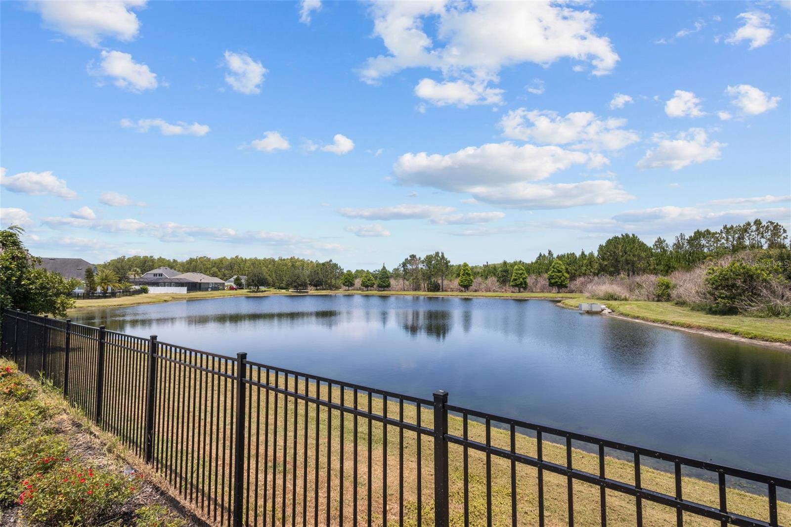2903 Long Bow, Odessa, FL 33556