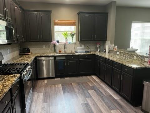 6528 Carrington Sky, Apollo Beach, FL 33572