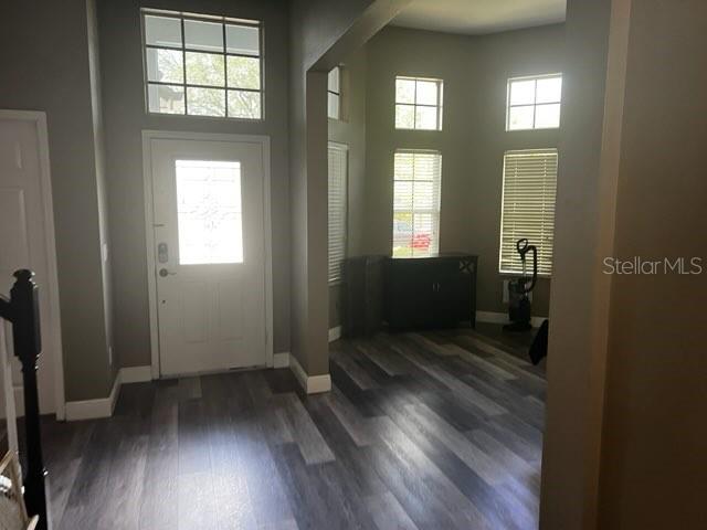 6528 Carrington Sky, Apollo Beach, FL 33572