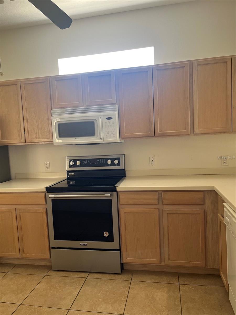 7211 Cleopatra, Land O Lakes, FL 34637