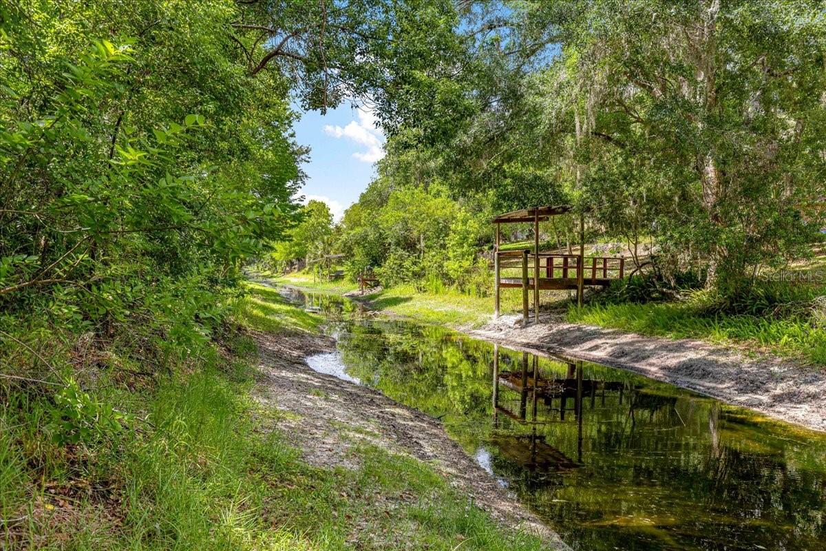 2964 Cygnet, Inverness, FL 34450
