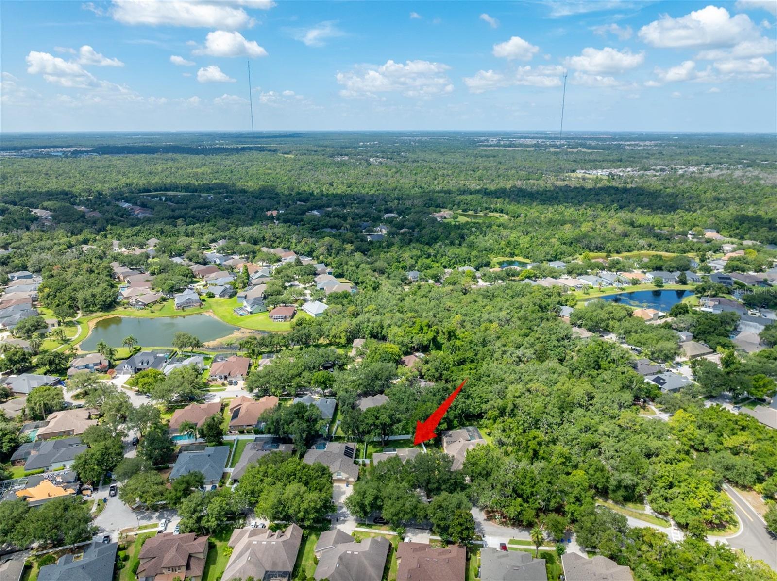 15211 Merlinglen, Lithia, FL 33547