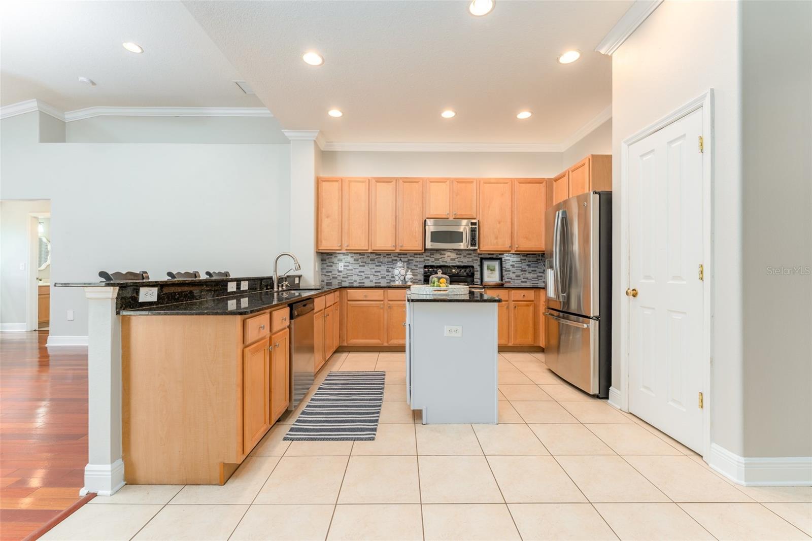 15211 Merlinglen, Lithia, FL 33547