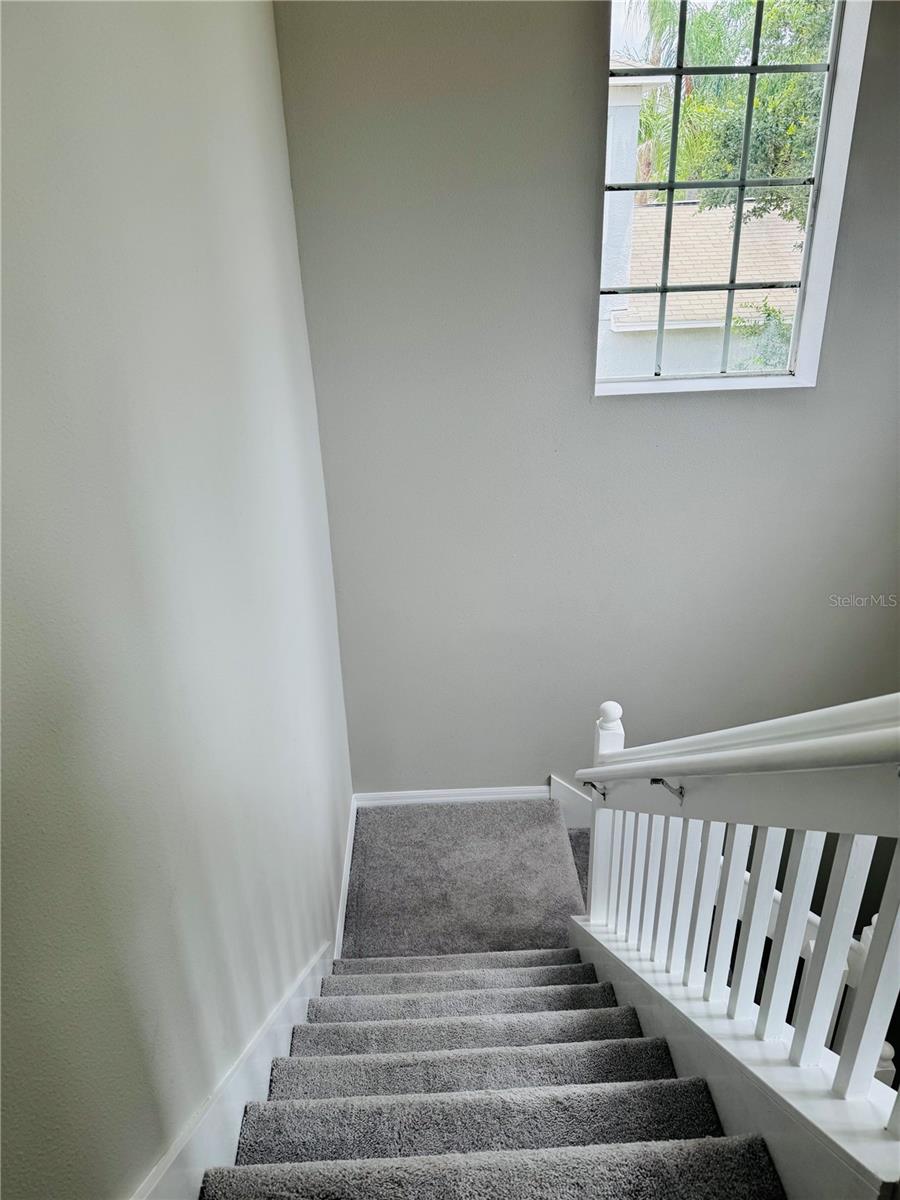 3517 Trapnell Ridge, Plant City, FL 33567