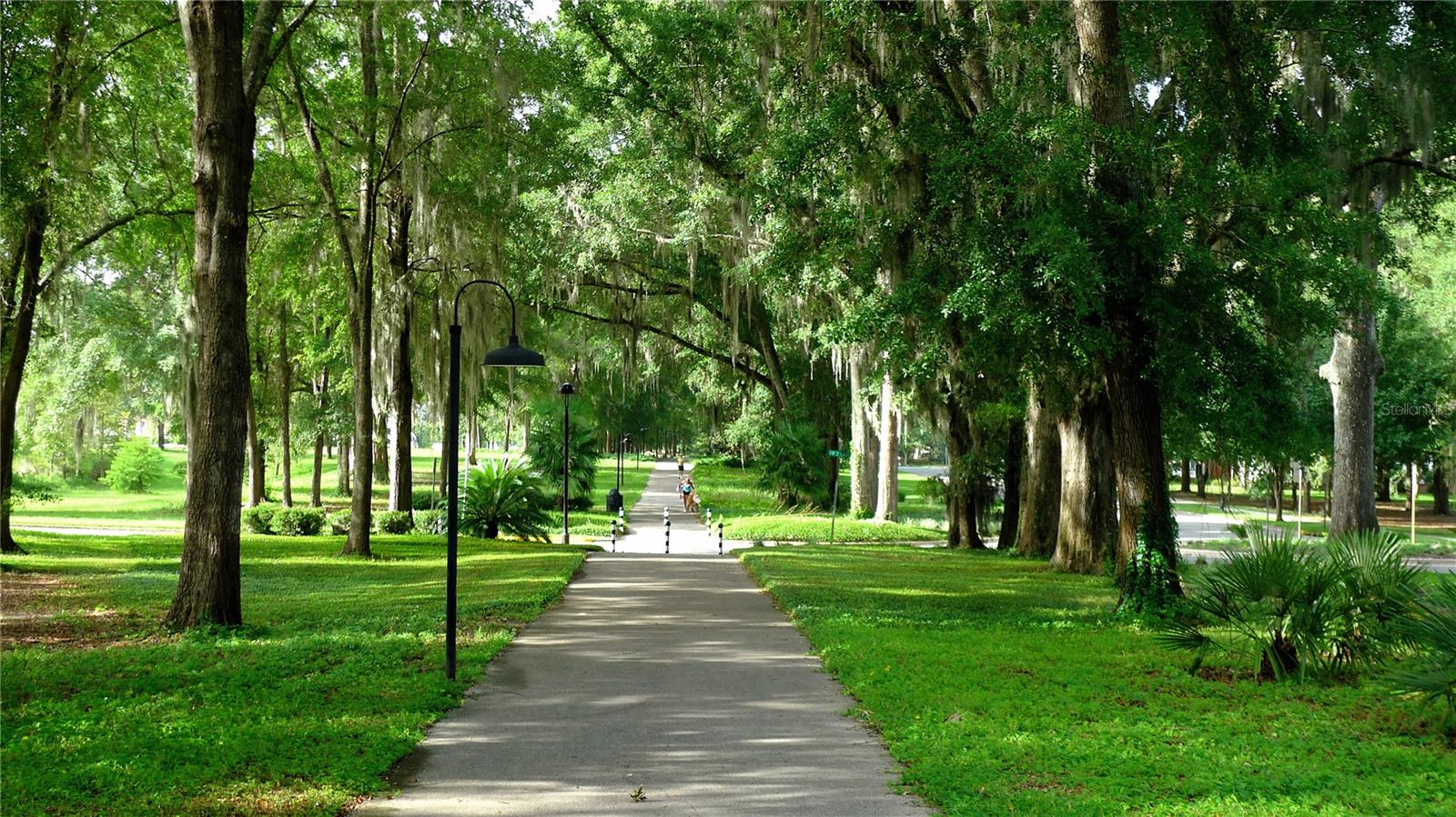 1062 135th, Newberry, FL 32669