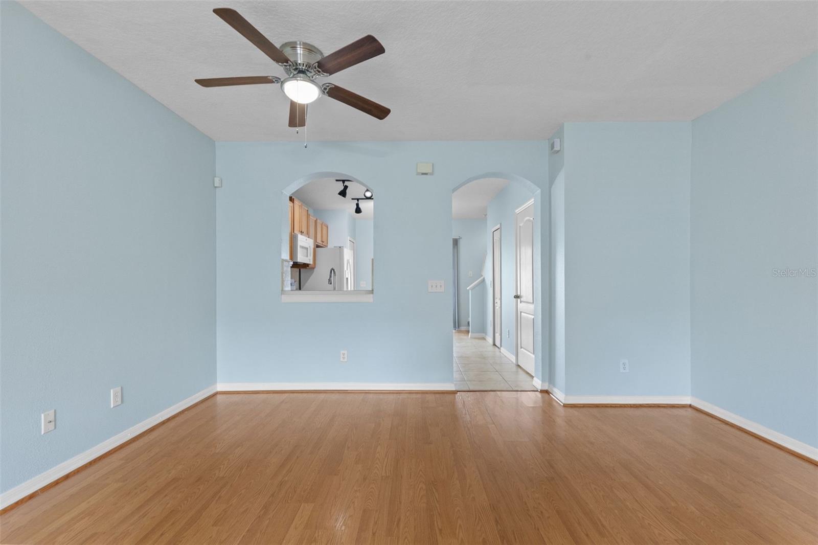 16221 Swan View, Odessa, FL 33556