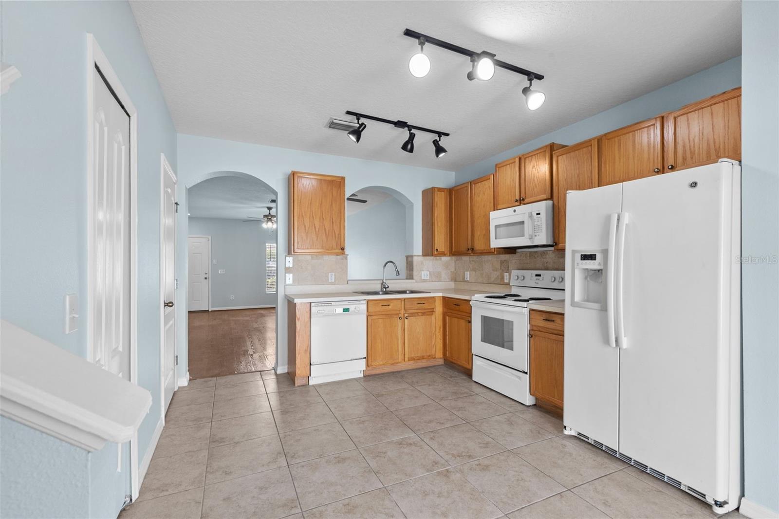 16221 Swan View, Odessa, FL 33556