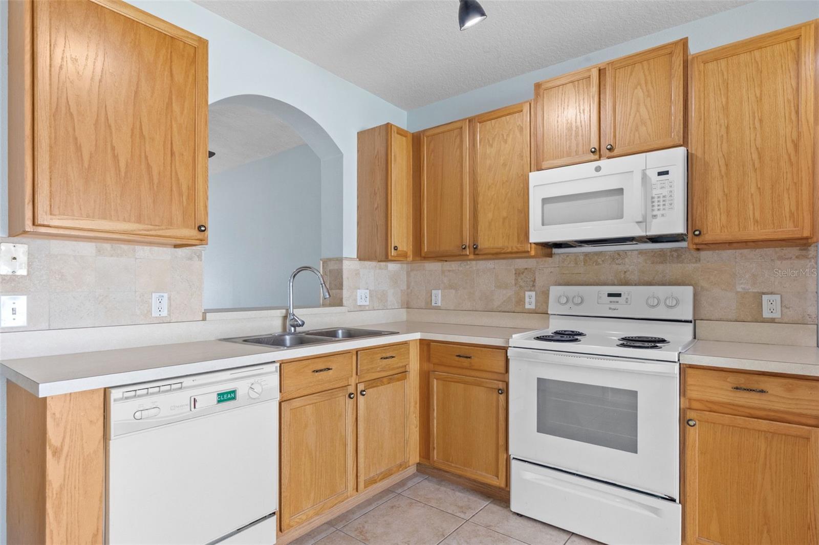 16221 Swan View, Odessa, FL 33556