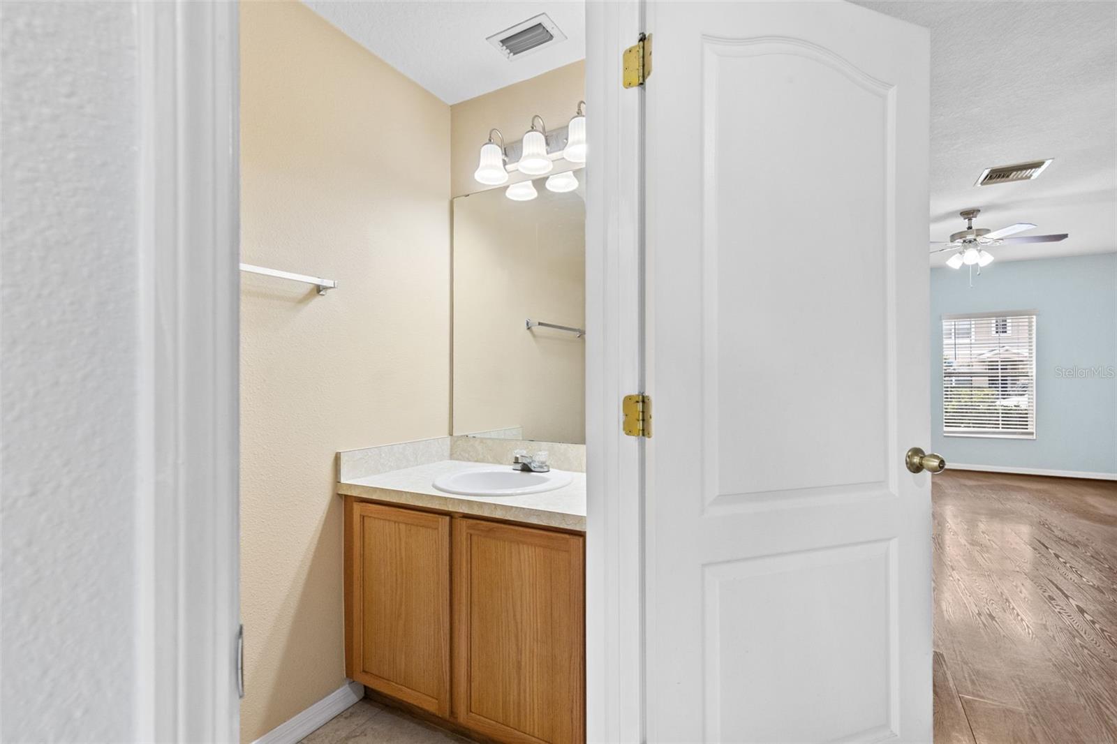 16221 Swan View, Odessa, FL 33556